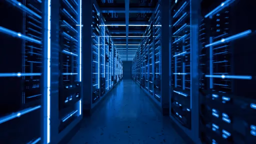 Hosting Bot & Website